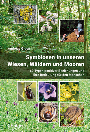 Symbiosen in unseren Wiesen, Wäldern und Mooren von Gigon,  Andreas