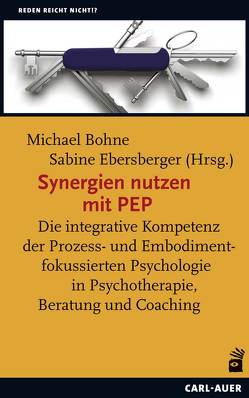 Synergien nutzen mit PEP von Bohne,  Michael, Ebersberger,  Sabine