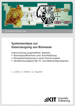 Systemanalyse zur Gaserzeugung aus Biomasse : Untersuchung ausgewählter Aspekte: Biomasseaufkommen und -bereitstellung, Biomasseeinspeisung in einen Druckvergaser, Verfahrensvergleich der FT- und Methanolproduktion von Kälber,  Stefan, Kappler,  Gunnar Oliver, Leible,  Ludwig