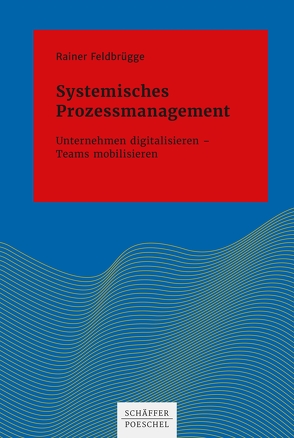 Systemisches Prozessmanagement von Feldbrügge,  Rainer