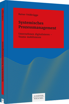 Systemisches Prozessmanagement von Feldbrügge,  Rainer