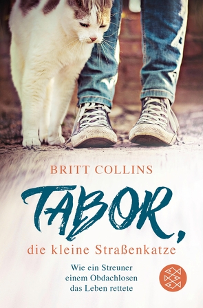 Tabor, die kleine Straßenkatze von Collins,  Britt, Wais,  Johanna