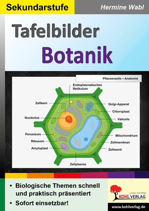 Tafelbilder Botanik von Wabl,  Hermine