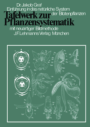 Tafelwerk zur Pflanzensystematik von Graf,  J., Kristen,  I., Weber,  A, Weber,  H.