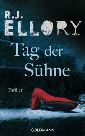 Tag der Sühne von Ellory,  R.J., Lux,  Stefan