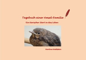 Tagebuch einer Amsel-Familie von Wedtstein,  Martina