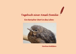 Tagebuch einer Amsel-Familie von Wedtstein,  Martina