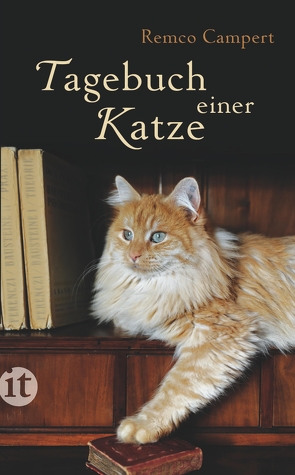 Tagebuch einer Katze von Campert,  Remco, Holberg,  Marianne