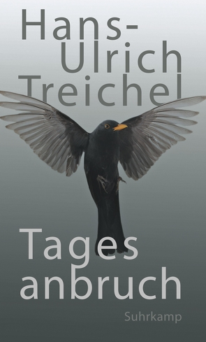 Tagesanbruch von Treichel,  Hans-Ulrich