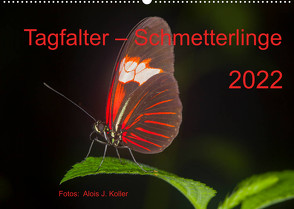 Tagfalter Schmetterlinge (Wandkalender 2022 DIN A2 quer) von J. Koller 4Pictures.ch,  Alois