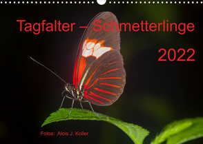 Tagfalter Schmetterlinge (Wandkalender 2022 DIN A3 quer) von J. Koller 4Pictures.ch,  Alois