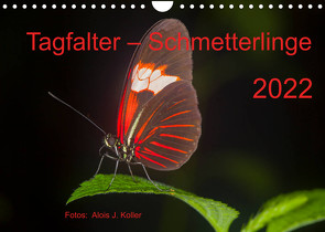 Tagfalter Schmetterlinge (Wandkalender 2022 DIN A4 quer) von J. Koller 4Pictures.ch,  Alois