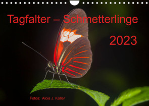 Tagfalter Schmetterlinge (Wandkalender 2023 DIN A4 quer) von J. Koller 4Pictures.ch,  Alois