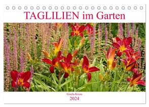 Taglilien im Garten (Tischkalender 2024 DIN A5 quer), CALVENDO Monatskalender von Kruse,  Gisela