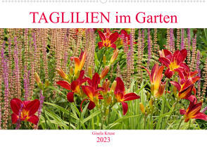 Taglilien im Garten (Wandkalender 2023 DIN A2 quer) von Kruse,  Gisela