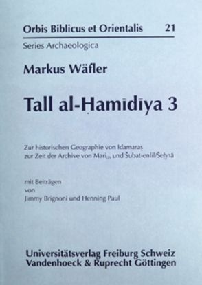 Tall al-Hamidiya 3 von Wäfler,  Markus