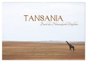 Tansania – Durch die Nationalparks Ostafrikas (Wandkalender 2024 DIN A2 quer), CALVENDO Monatskalender von Stützle,  Michael