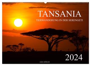 Tansania – Tierwanderung in der Serengeti (Wandkalender 2024 DIN A2 quer), CALVENDO Monatskalender von Koehler,  Axel