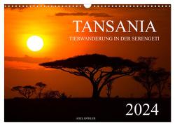 Tansania – Tierwanderung in der Serengeti (Wandkalender 2024 DIN A3 quer), CALVENDO Monatskalender von Koehler,  Axel