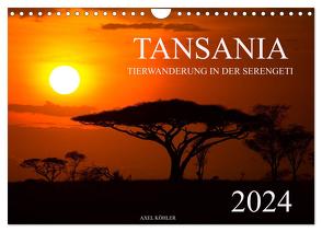 Tansania – Tierwanderung in der Serengeti (Wandkalender 2024 DIN A4 quer), CALVENDO Monatskalender von Koehler,  Axel