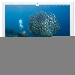 Tanz der Fische (hochwertiger Premium Wandkalender 2024 DIN A2 quer), Kunstdruck in Hochglanz von - Yvonne & Tilo Kühnast,  naturepics