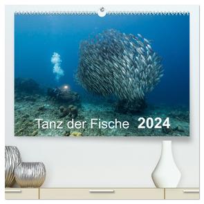 Tanz der Fische (hochwertiger Premium Wandkalender 2024 DIN A2 quer), Kunstdruck in Hochglanz von - Yvonne & Tilo Kühnast,  naturepics