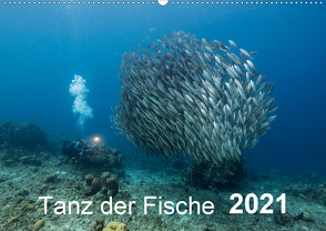 Tanz der Fische (Wandkalender 2021 DIN A2 quer) von - Yvonne & Tilo Kühnast,  naturepics