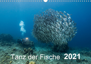 Tanz der Fische (Wandkalender 2021 DIN A3 quer) von - Yvonne & Tilo Kühnast,  naturepics