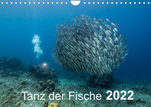 Tanz der Fische (Wandkalender 2022 DIN A4 quer) von - Yvonne & Tilo Kühnast,  naturepics