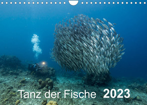 Tanz der Fische (Wandkalender 2023 DIN A4 quer) von - Yvonne & Tilo Kühnast,  naturepics