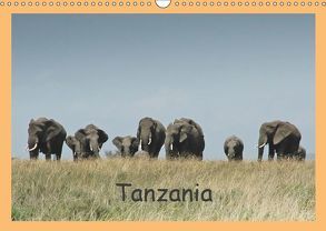 Tanzania (Wandkalender 2019 DIN A3 quer) von Dürr,  Brigitte