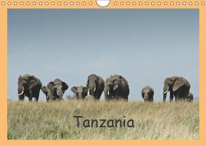 Tanzania (Wandkalender 2019 DIN A4 quer) von Dürr,  Brigitte