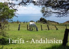 Tarifa – Andalusien (Wandkalender 2021 DIN A2 quer) von Peitz,  Martin