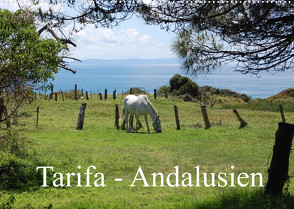 Tarifa – Andalusien (Wandkalender 2022 DIN A2 quer) von Peitz,  Martin