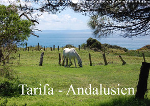 Tarifa – Andalusien (Wandkalender 2022 DIN A3 quer) von Peitz,  Martin