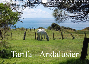 Tarifa – Andalusien (Wandkalender 2022 DIN A4 quer) von Peitz,  Martin