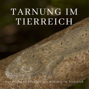 Tarnung im Tierreich von Hübsch,  Bibi