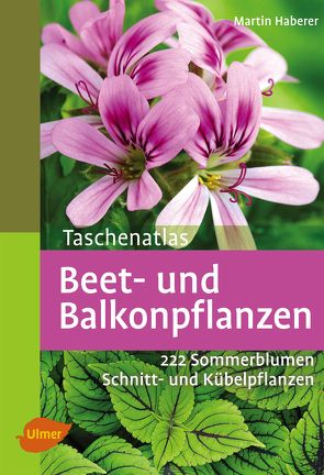 Taschenatlas Beet- und Balkonpflanzen von Haberer,  Martin