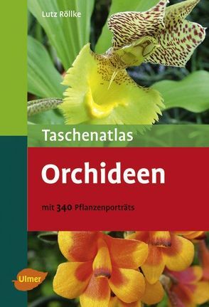 Taschenatlas Orchideen von Röllke,  Lutz