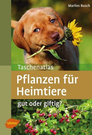 Taschenatlas Pflanzen für Heimtiere von Busch,  Marlies