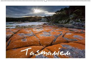 Tasmanien (Wandkalender 2019 DIN A2 quer) von Buschardt - wild-places.com,  Boris