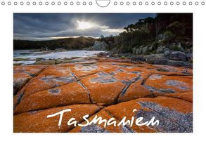 Tasmanien (Wandkalender 2019 DIN A4 quer) von Buschardt - wild-places.com,  Boris