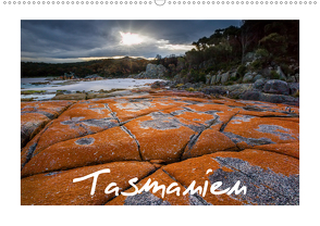 Tasmanien (Wandkalender 2020 DIN A2 quer) von Buschardt - wild-places.com,  Boris