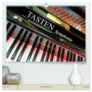 TASTEN Symphonie (hochwertiger Premium Wandkalender 2024 DIN A2 quer), Kunstdruck in Hochglanz von Bleicher,  Renate