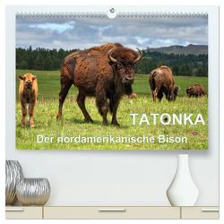 TATONKA Der nordamerikanische Bison (hochwertiger Premium Wandkalender 2024 DIN A2 quer), Kunstdruck in Hochglanz von Wilczek,  Dieter