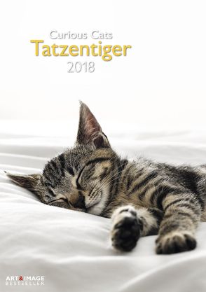 Tatzentiger 2018 A&I