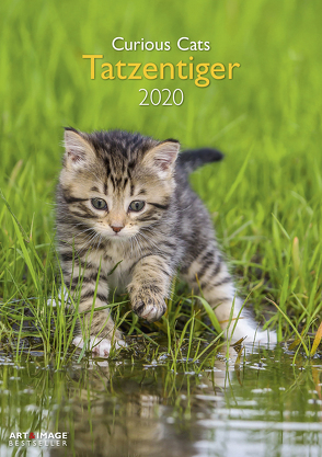 Tatzentiger 2020 A&I