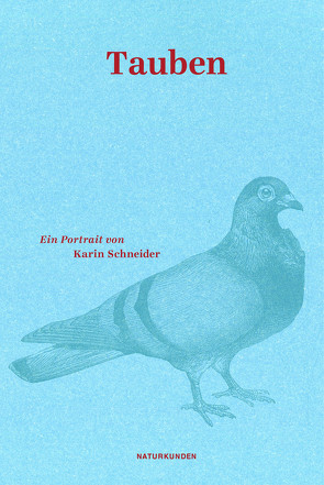 Tauben von Nordmann,  Falk, Schalansky,  Judith, Schneider,  Karin