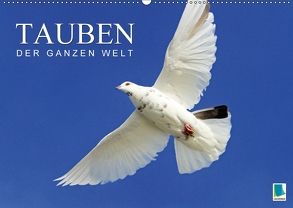 Tauben der ganzen Welt (Wandkalender 2018 DIN A2 quer) von CALVENDO