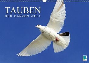 Tauben der ganzen Welt (Wandkalender 2018 DIN A3 quer) von CALVENDO